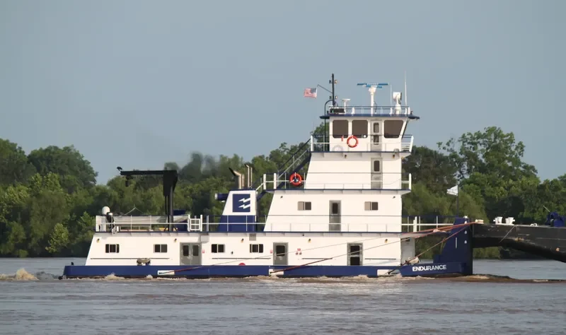 ENDURANCE General Cargo IMO 9632739 photo 2