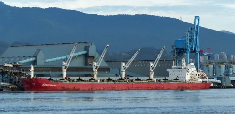 XIN HAI TONG 25 Bulk Carrier IMO 9632789