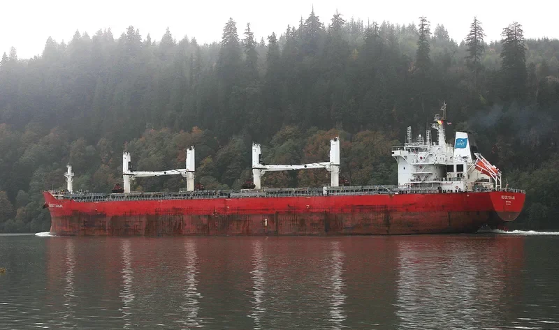 XIN HAI TONG 25 Bulk Carrier IMO 9632789 photo 3