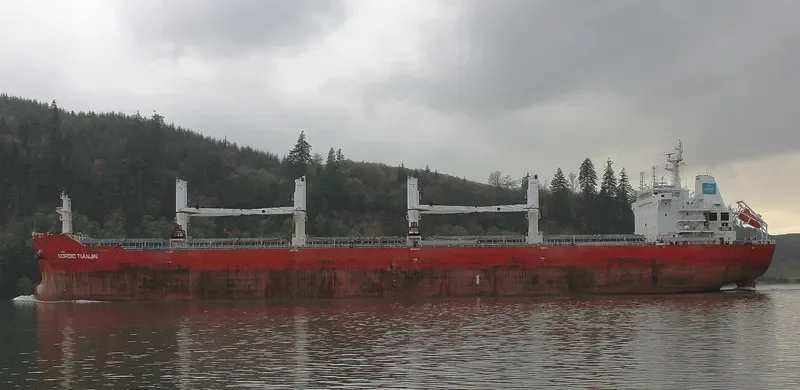 XIN HAI TONG 25 Bulk Carrier IMO 9632789 photo 4