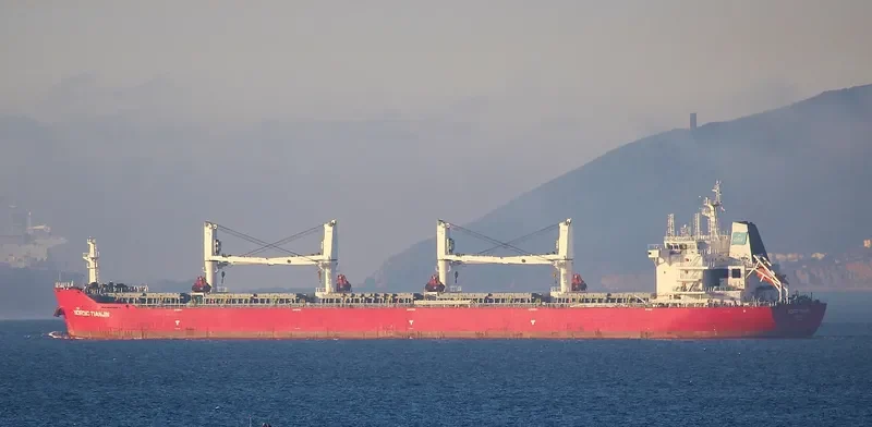 XIN HAI TONG 25 Bulk Carrier IMO 9632789 photo 7