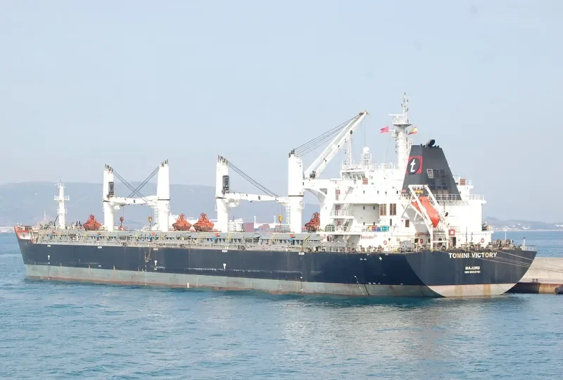 YANGTZE ALPHA Bulk Carrier IMO 9632791 photo 2