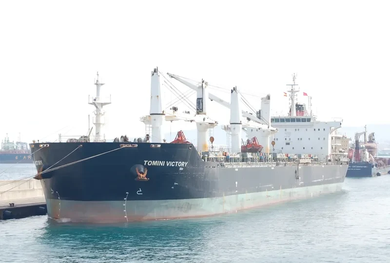 YANGTZE ALPHA Bulk Carrier IMO 9632791 photo 3