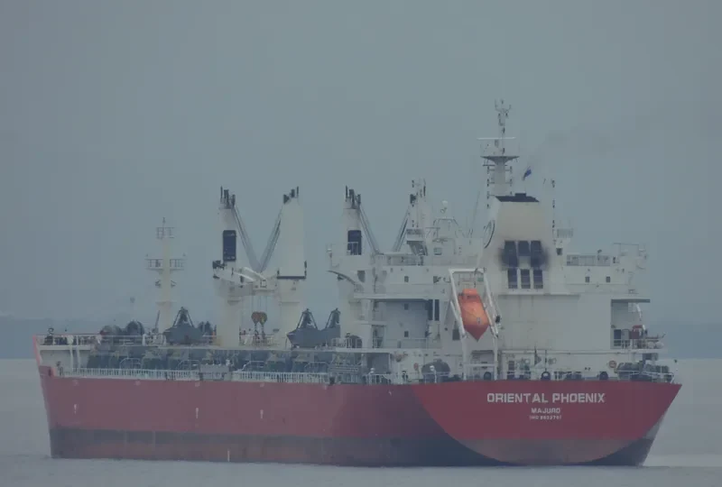 YANGTZE ALPHA Bulk Carrier IMO 9632791 photo 8