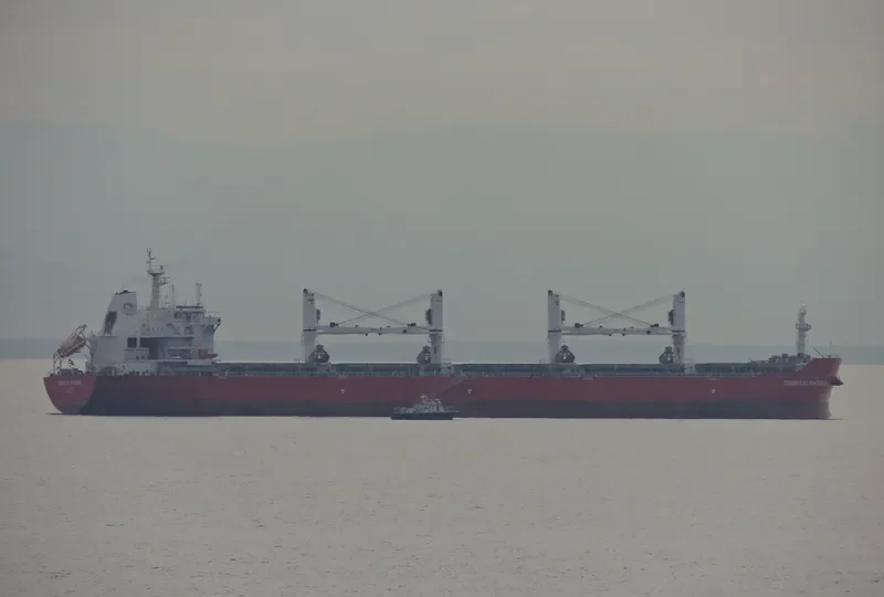 YANGTZE ALPHA Bulk Carrier IMO 9632791 photo 9