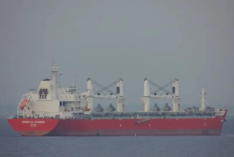 YANGTZE ALPHA Bulk Carrier IMO 9632791 photo 10