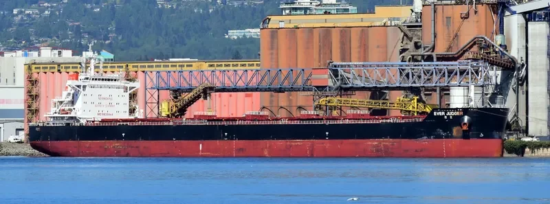 EVER JUDGER Bulk Carrier IMO 9632844 photo 3