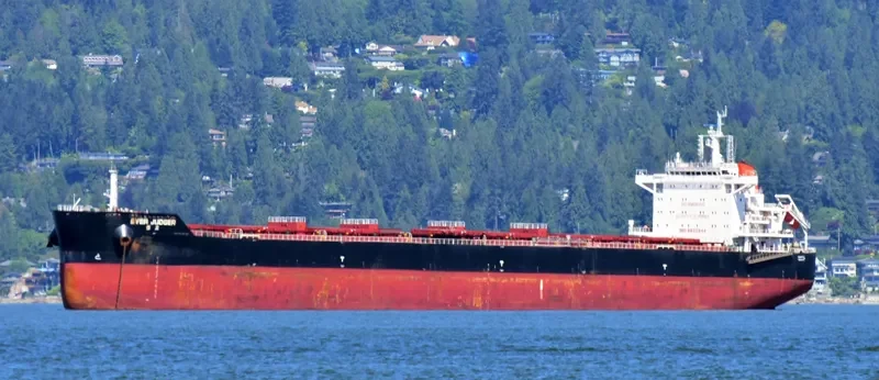 EVER JUDGER Bulk Carrier IMO 9632844 photo 4