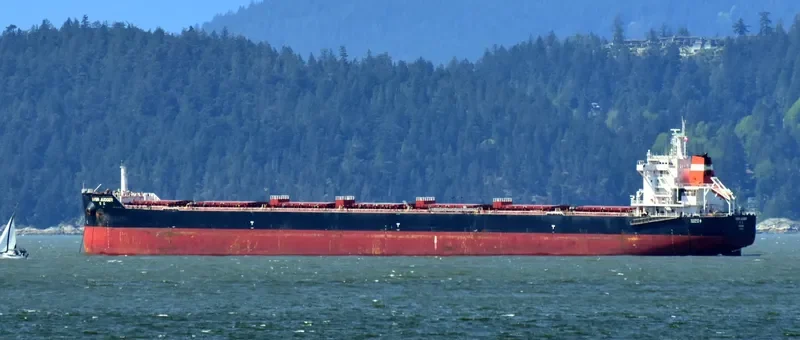 EVER JUDGER Bulk Carrier IMO 9632844 photo 5