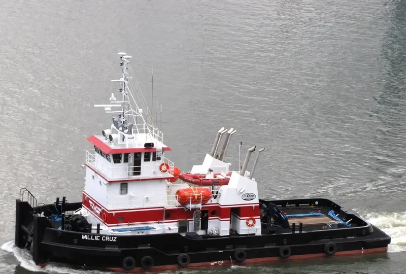 MILLIE CRUZ General Cargo IMO 9632923 photo 2