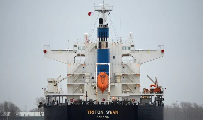 TRITON SWAN Bulk Carrier IMO 9632985