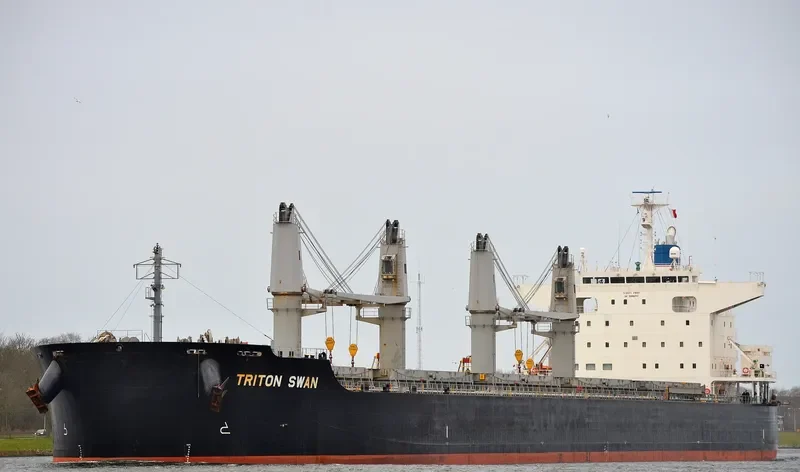 TRITON SWAN Bulk Carrier IMO 9632985 photo 2
