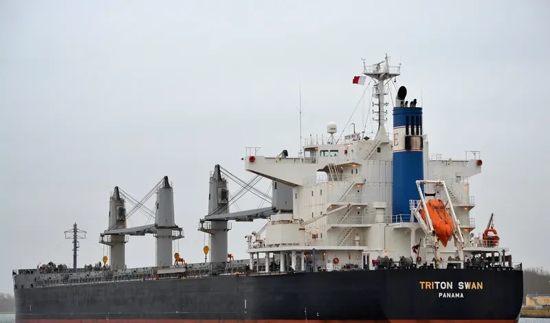 TRITON SWAN Bulk Carrier IMO 9632985 photo 3