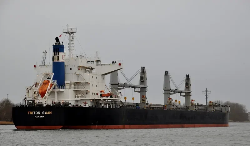 TRITON SWAN Bulk Carrier IMO 9632985 photo 4
