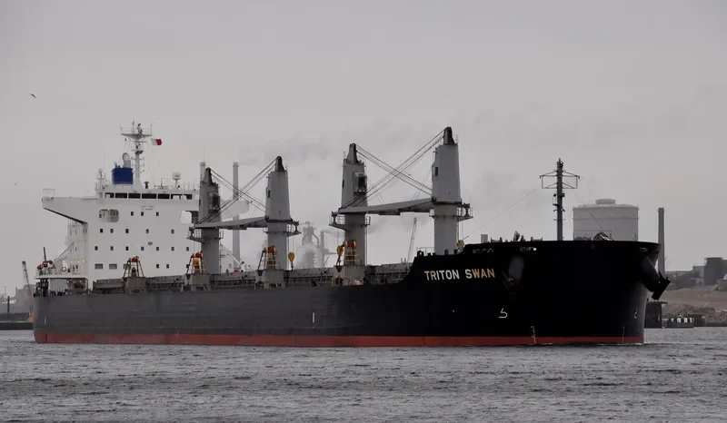 TRITON SWAN Bulk Carrier IMO 9632985 photo 5