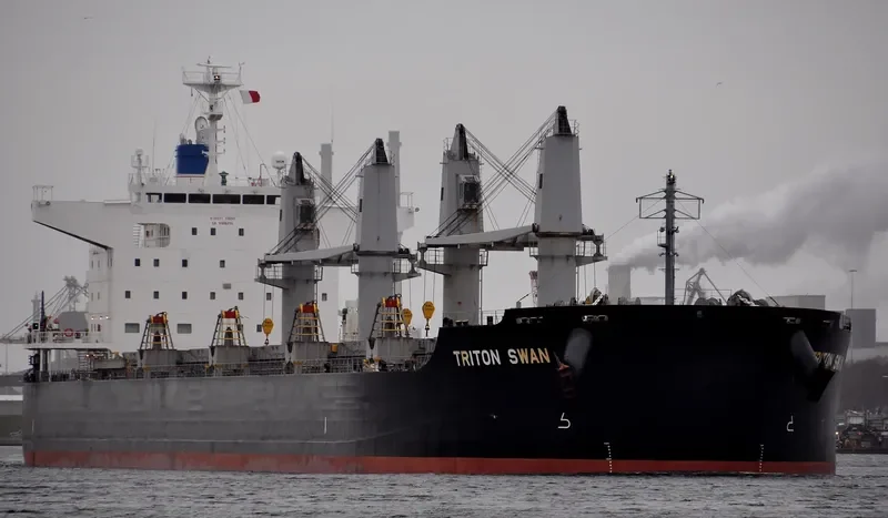 TRITON SWAN Bulk Carrier IMO 9632985 photo 6