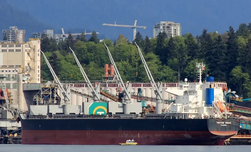TRITON SWAN Bulk Carrier IMO 9632985 photo 7