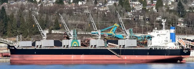 TRITON SWAN Bulk Carrier IMO 9632985 photo 8