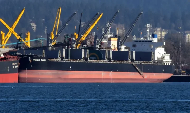 TRITON SWAN Bulk Carrier IMO 9632985 photo 9