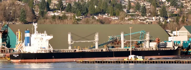 TRITON SWAN Bulk Carrier IMO 9632985 photo 10