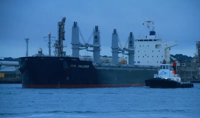 STAR CHALLENGER Bulk Carrier IMO 9632997 photo 2