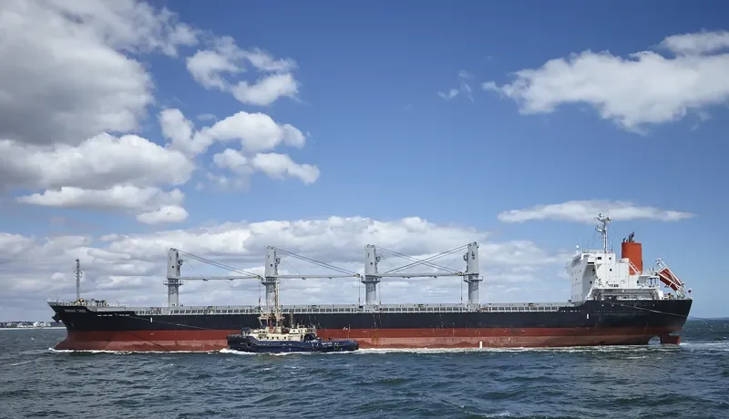 MERCHANT THREE Bulk Carrier IMO 9633020 photo 9