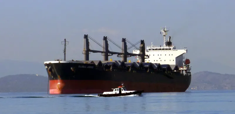 GLOBAL ANDES Bulk Carrier IMO 9633032