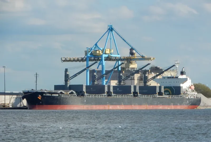 GLOBAL ANDES Bulk Carrier IMO 9633032 photo 2
