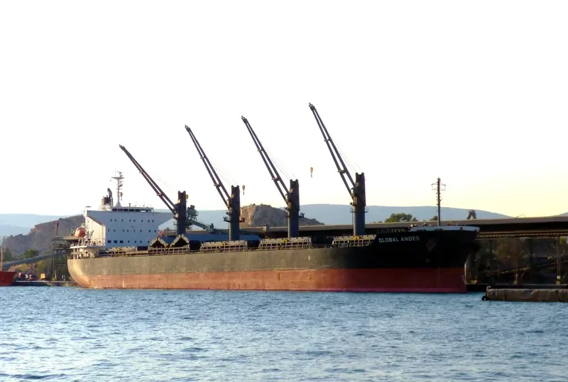 GLOBAL ANDES Bulk Carrier IMO 9633032 photo 3