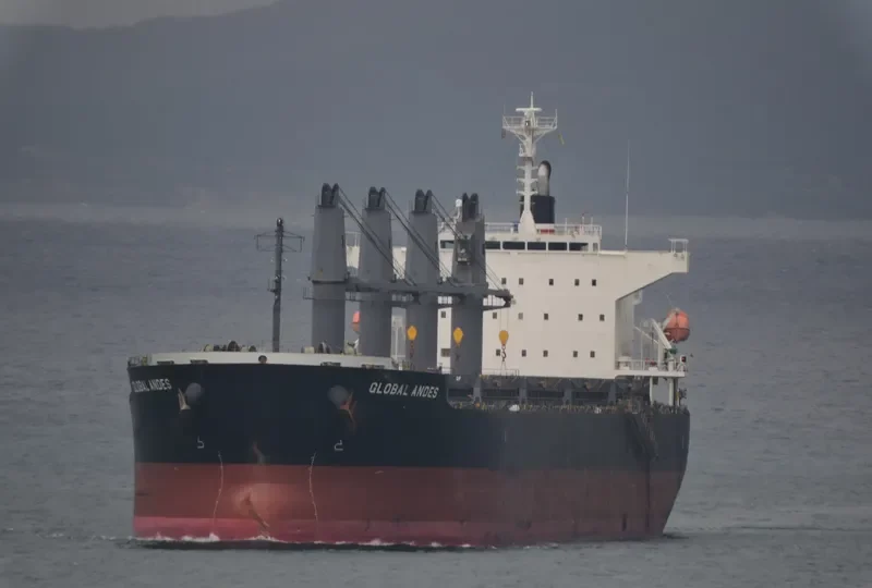 GLOBAL ANDES Bulk Carrier IMO 9633032 photo 4