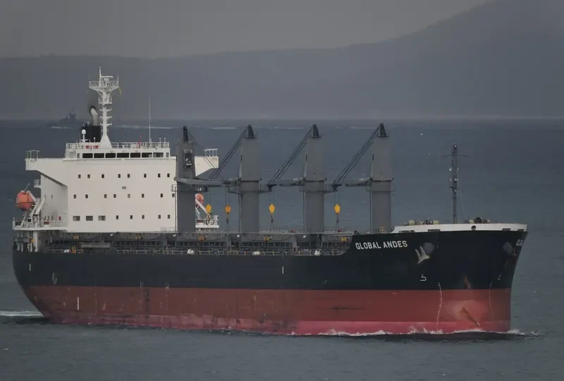 GLOBAL ANDES Bulk Carrier IMO 9633032 photo 5