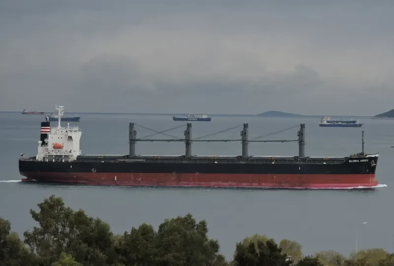 GLOBAL ANDES Bulk Carrier IMO 9633032 photo 6