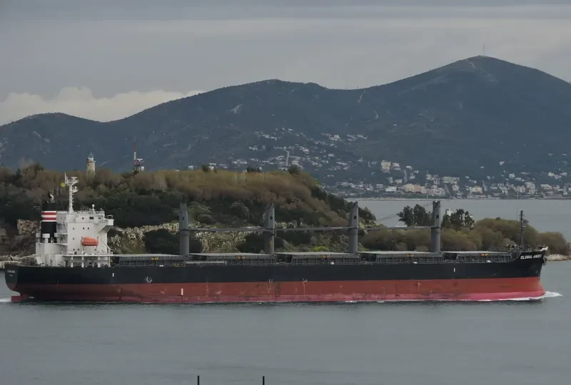 GLOBAL ANDES Bulk Carrier IMO 9633032 photo 7
