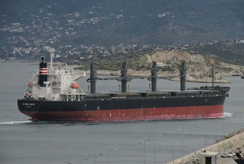 GLOBAL ANDES Bulk Carrier IMO 9633032 photo 8