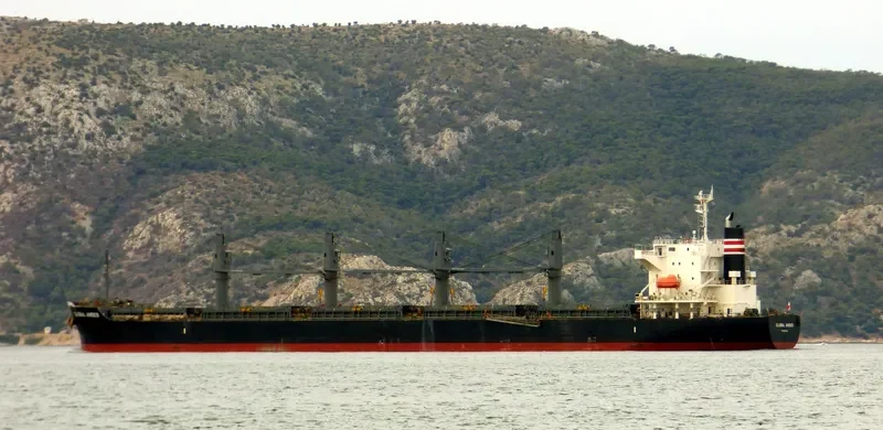 GLOBAL ANDES Bulk Carrier IMO 9633032 photo 9