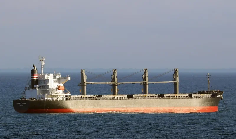 GLOBAL ANDES Bulk Carrier IMO 9633032 photo 10
