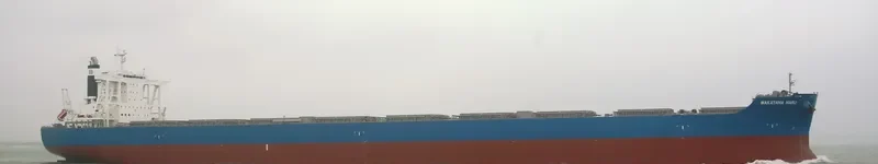 WAKAYAMA MARU Bulk Carrier IMO 9633068
