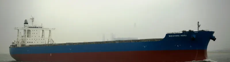 WAKAYAMA MARU Bulk Carrier IMO 9633068 photo 2