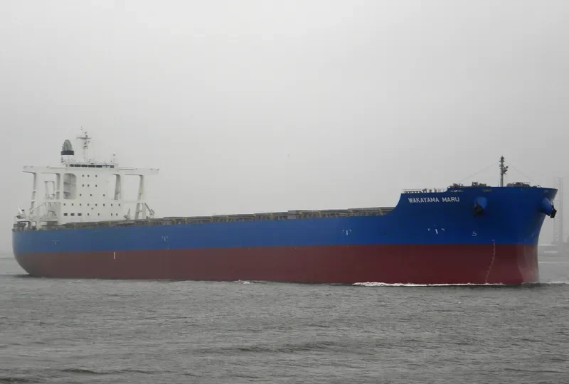WAKAYAMA MARU Bulk Carrier IMO 9633068 photo 3