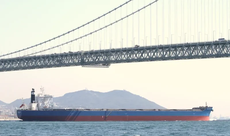 WAKAYAMA MARU Bulk Carrier IMO 9633068 photo 4