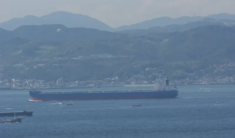 WAKAYAMA MARU Bulk Carrier IMO 9633068 photo 6