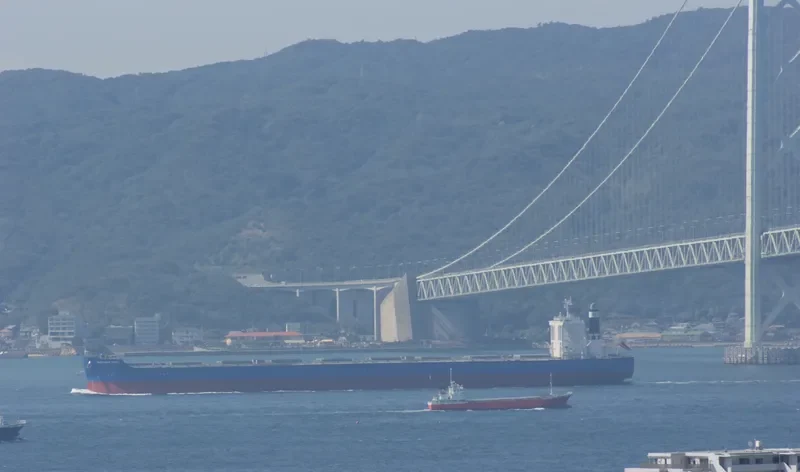WAKAYAMA MARU Bulk Carrier IMO 9633068 photo 7
