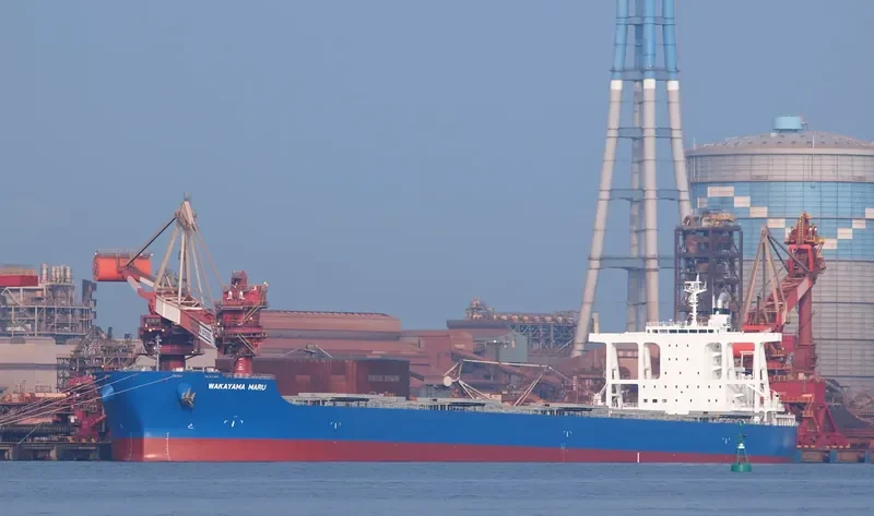 WAKAYAMA MARU Bulk Carrier IMO 9633068 photo 8
