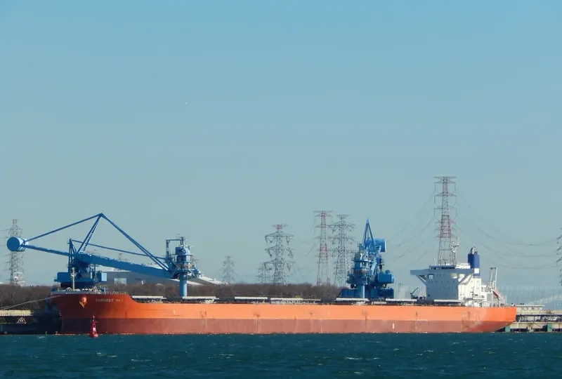 DILOS WARRIOR Bulk Carrier IMO 9633094