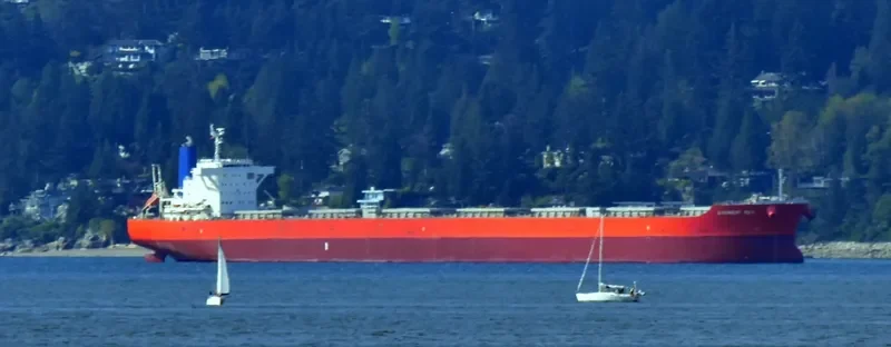 DILOS WARRIOR Bulk Carrier IMO 9633094 photo 2