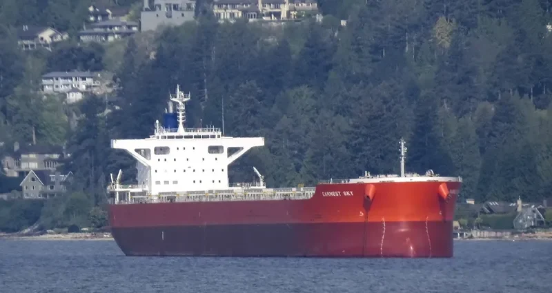 DILOS WARRIOR Bulk Carrier IMO 9633094 photo 3