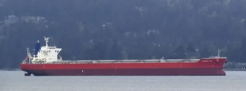 DILOS WARRIOR Bulk Carrier IMO 9633094 photo 4