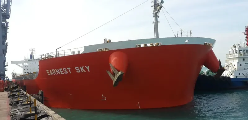 DILOS WARRIOR Bulk Carrier IMO 9633094 photo 7