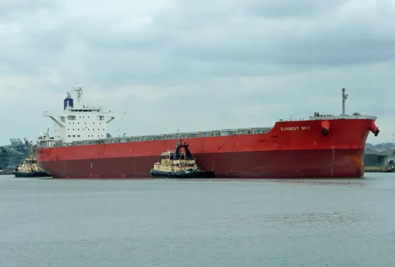 DILOS WARRIOR Bulk Carrier IMO 9633094 photo 8