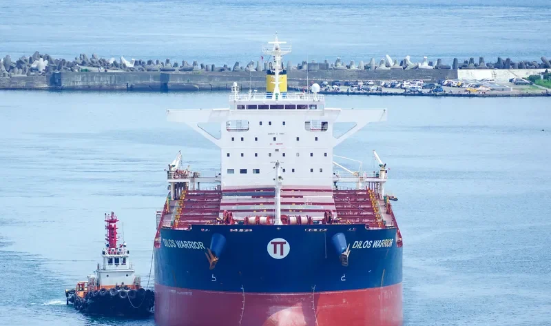 DILOS WARRIOR Bulk Carrier IMO 9633094 photo 9